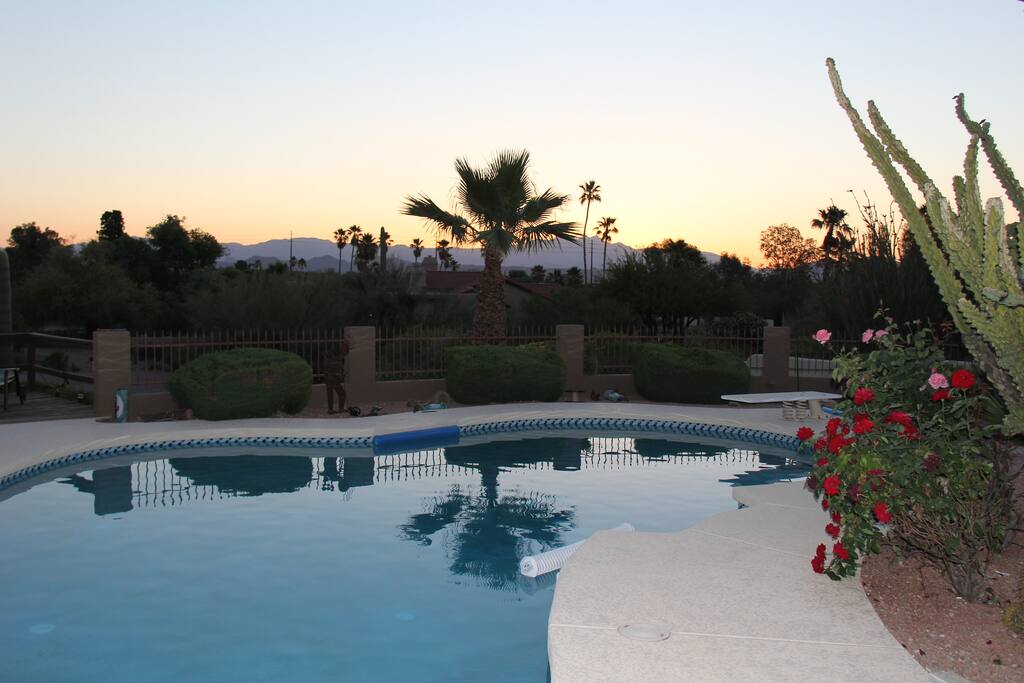 The GEM of the yard, beautiful HUGE diving pool