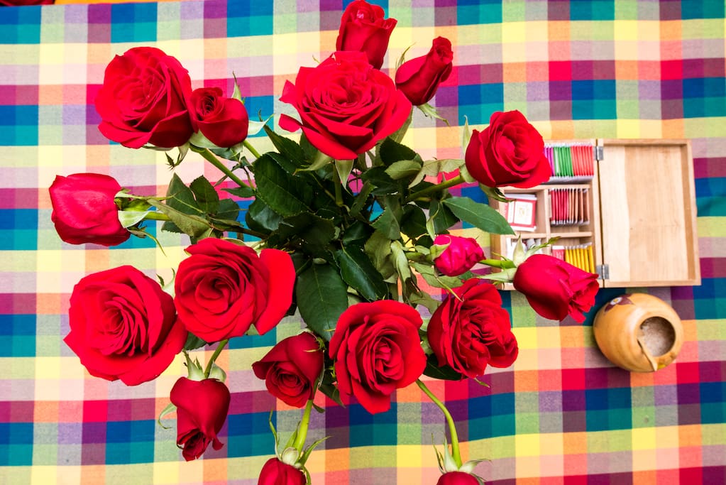 ecuadorian roses