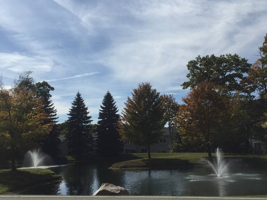 One of the local ponds.