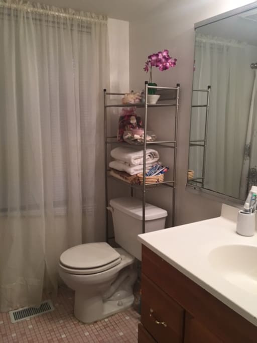 privet bathroom