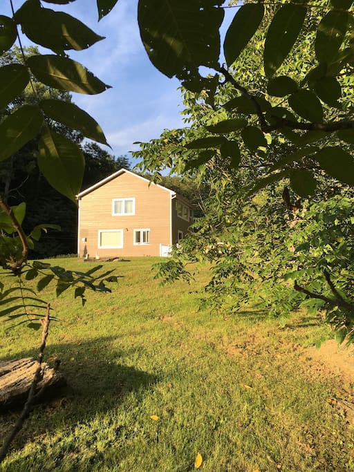 The house through the trees...