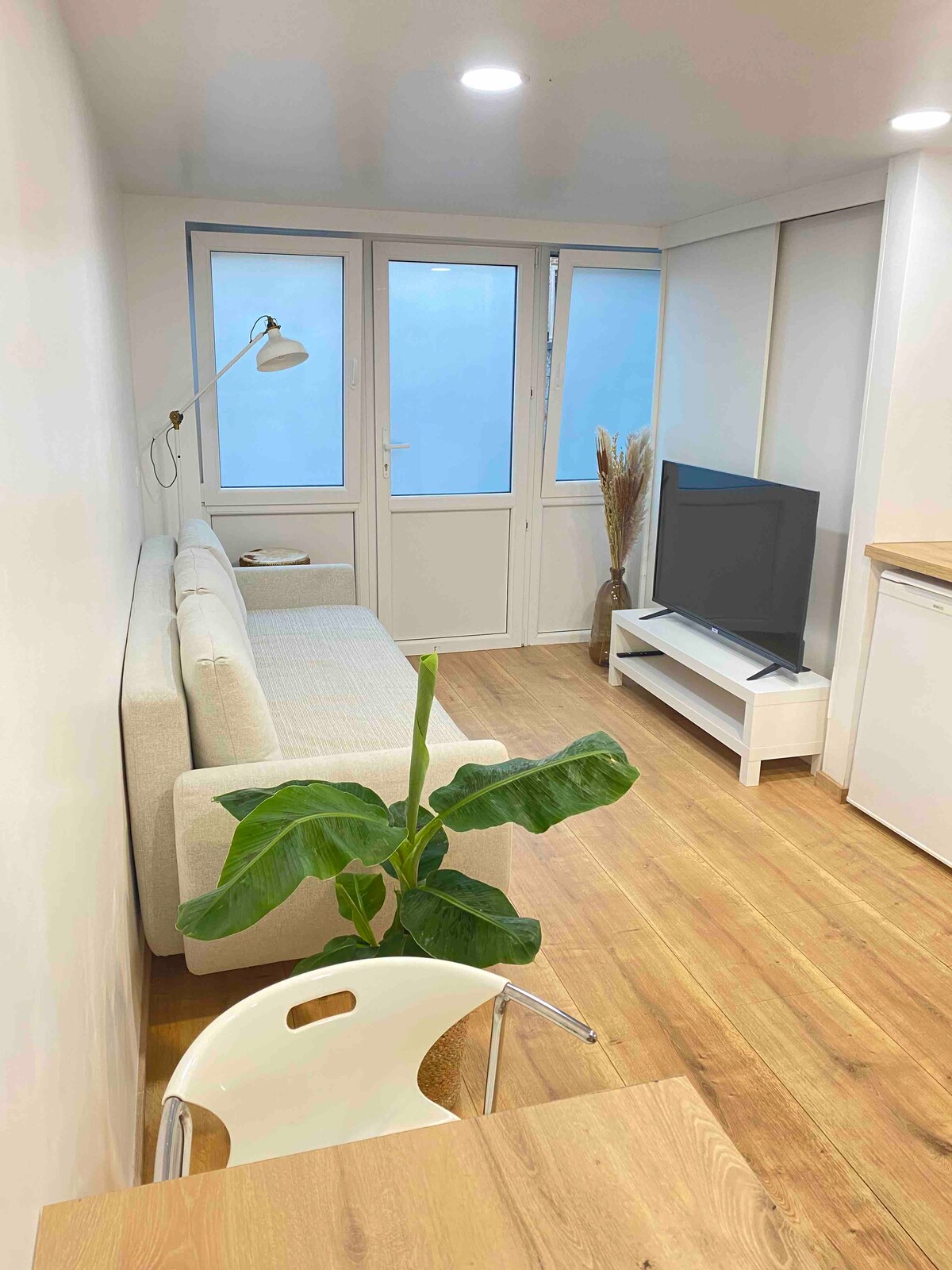 The living area features a light-colored sofa positioned near large windows. A modern television is placed on a white media console. A potted plant adds a touch of greenery, and a small table is set nearby, creating a comfortable and inviting space.