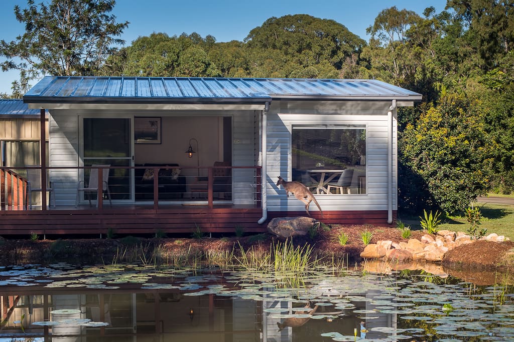 Front view complete with authentic kangaroo hopping by