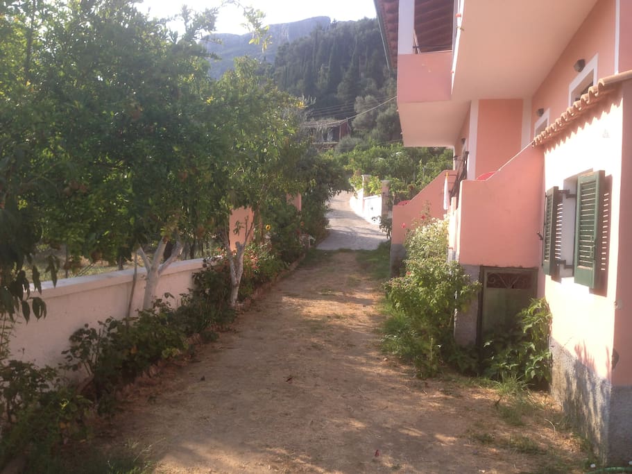 The way to the garden and the parking area