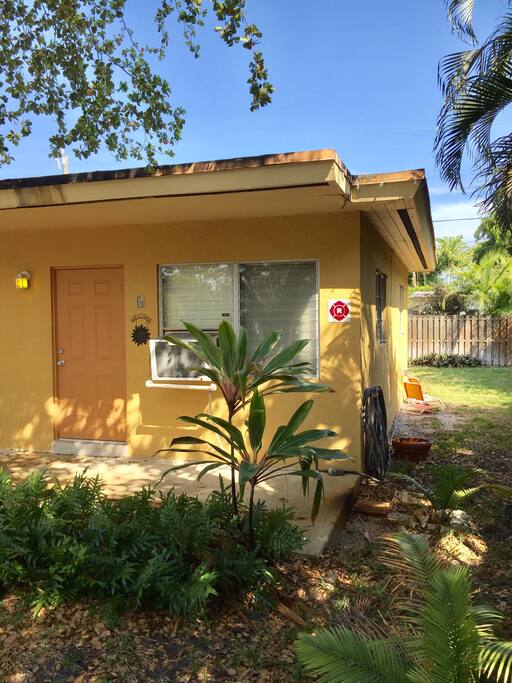 Side yard and back yard