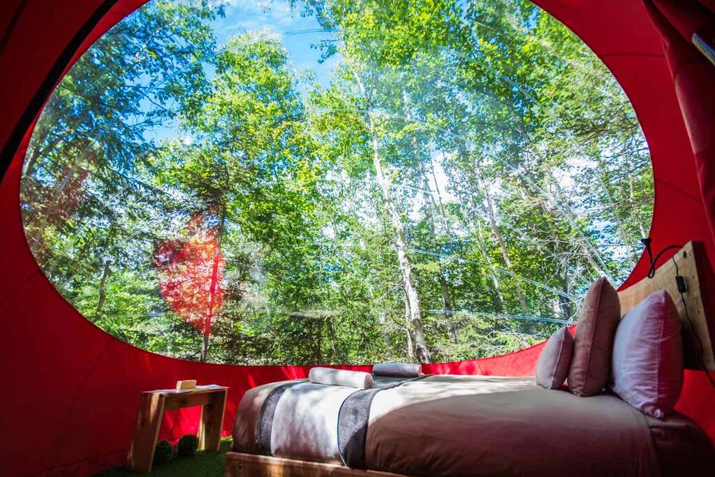  Bulles  sup rieures Insolite Maisons d me  louer  