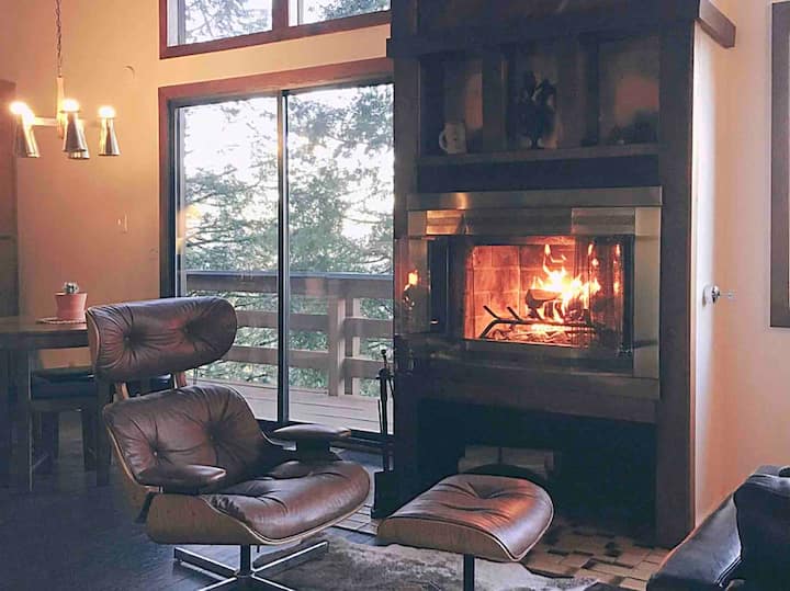 Magical Mid-Century Chalet w/ Forest Views!