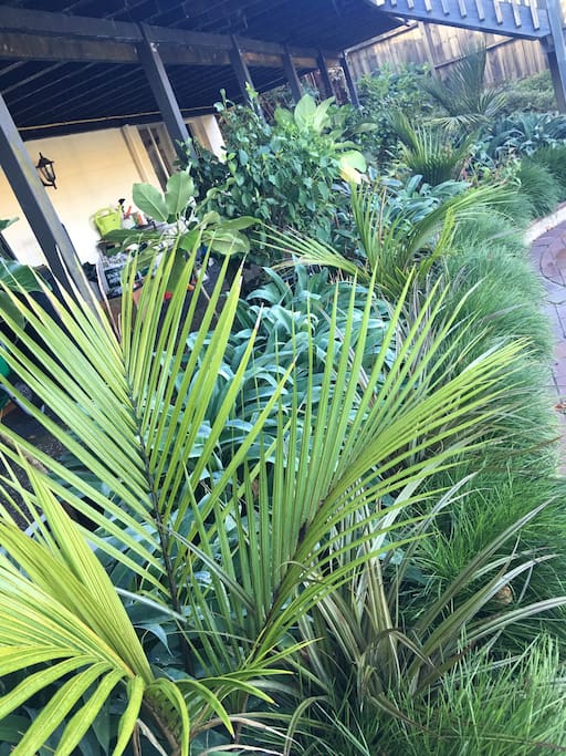 Room entry is by way of private garden