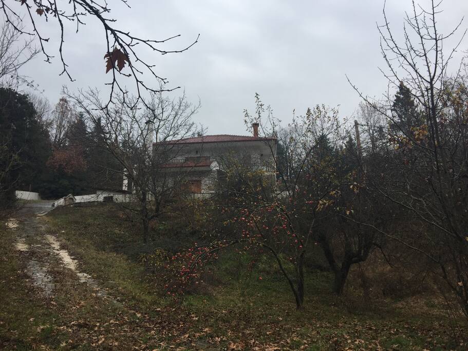 Η όψη του σπιτιού από την είσοδο στο κτήμα