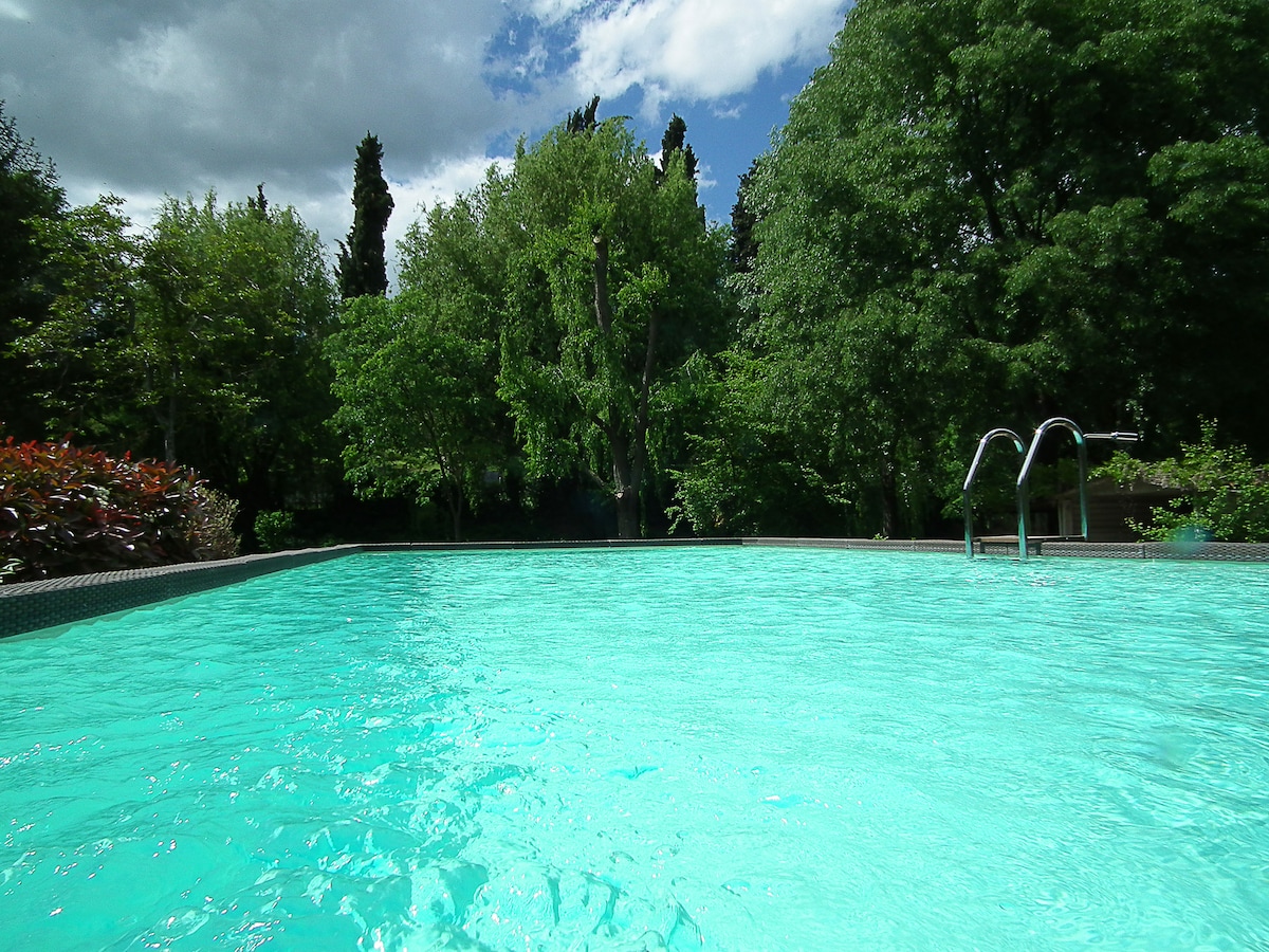 A serene pool is set amidst a lush garden, surrounded by tall trees and vibrant greenery. The water appears clear and inviting, reflecting the sky above. Steps lead from the poolside, enhancing accessibility to the swimming area.