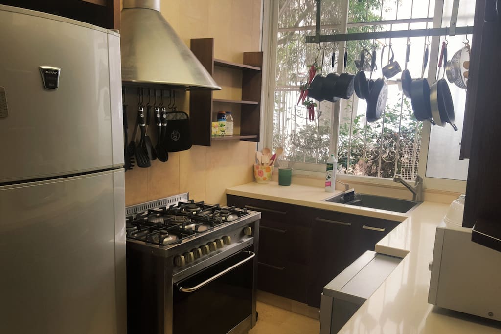 Fully accessorized modern kitchen