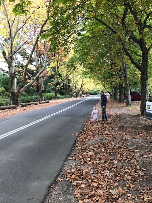 The Hawkesbury is known for it's beautiful autumn displays.