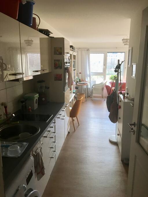 Koche ein leckeres Abendessen oder mache dir einen Smoothie mit meinem Mixer