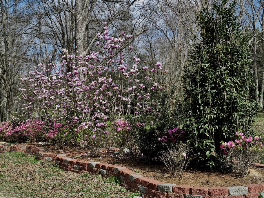 Walking trails, landscaping and ponds make this a birder's paradise.