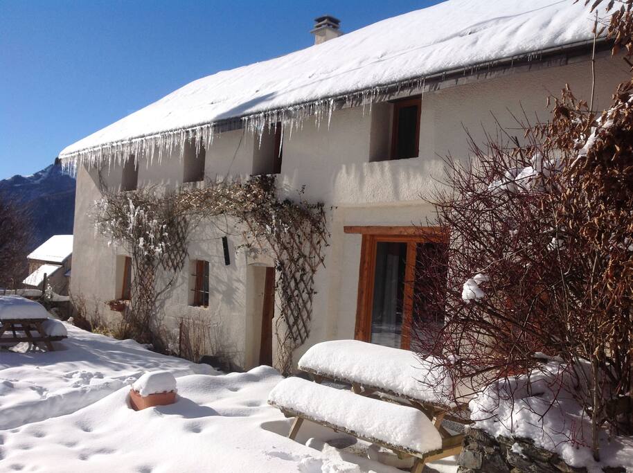 Winter