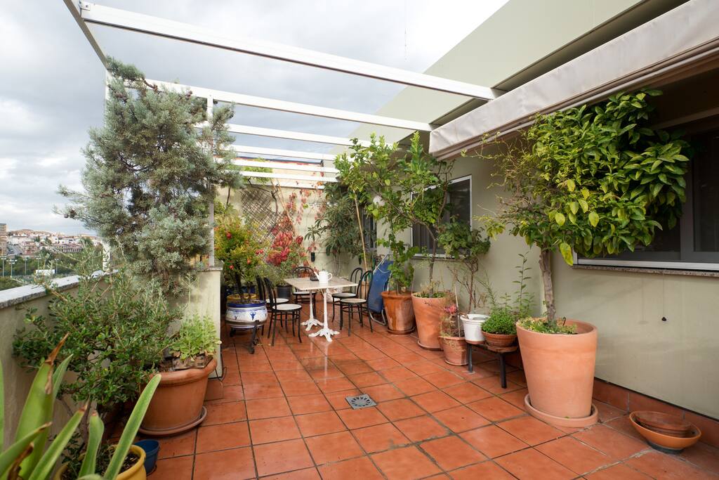 Terraza principal