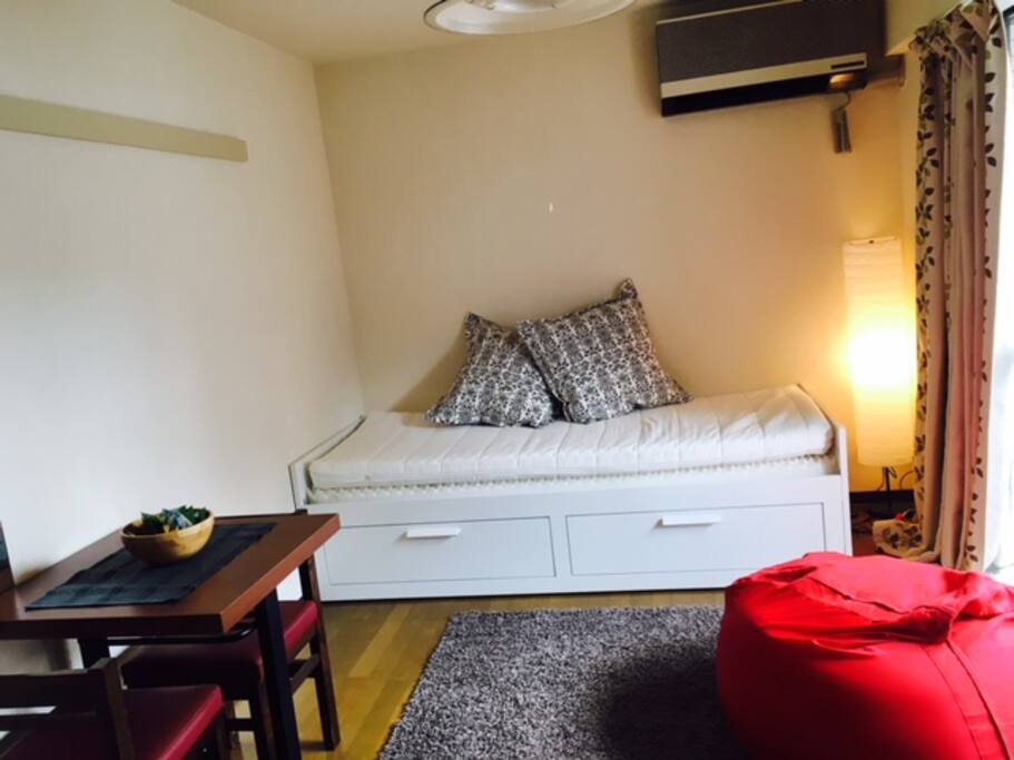 Comfy single bed or day sofa!