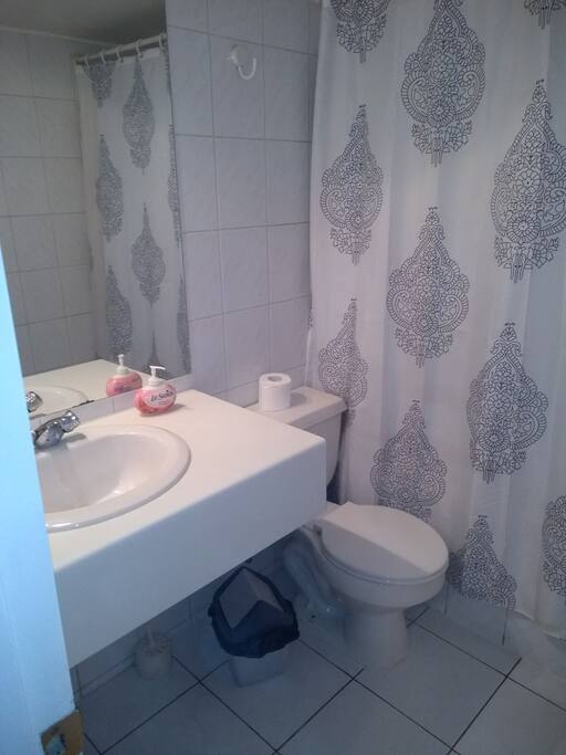 Baño pieza principal.