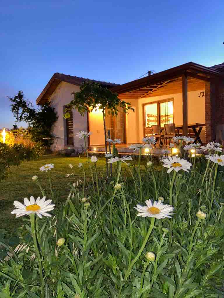 A charming house is captured during twilight, illuminated warmly from within. The foreground features blooming daisies, adding a natural touch to the outdoor space. Soft grass surrounds a wooden deck, where outdoor seating is arranged for relaxation.