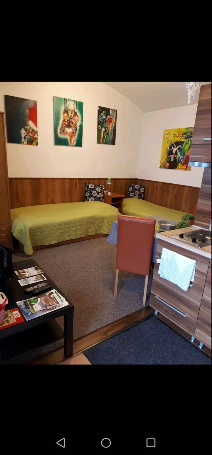 *Top Price &Top Location* Apartment In City Center - Košice