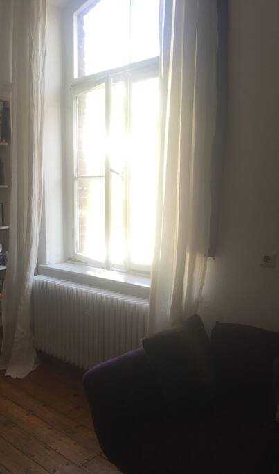 Window with view from room