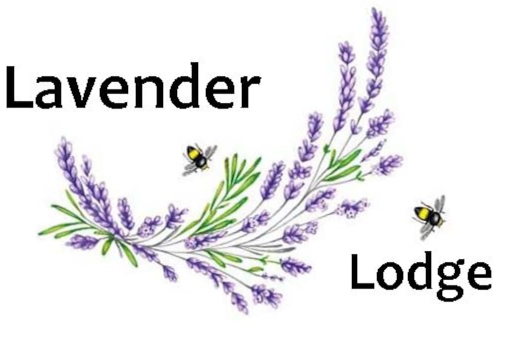 Welcome to Lavender Lodge!