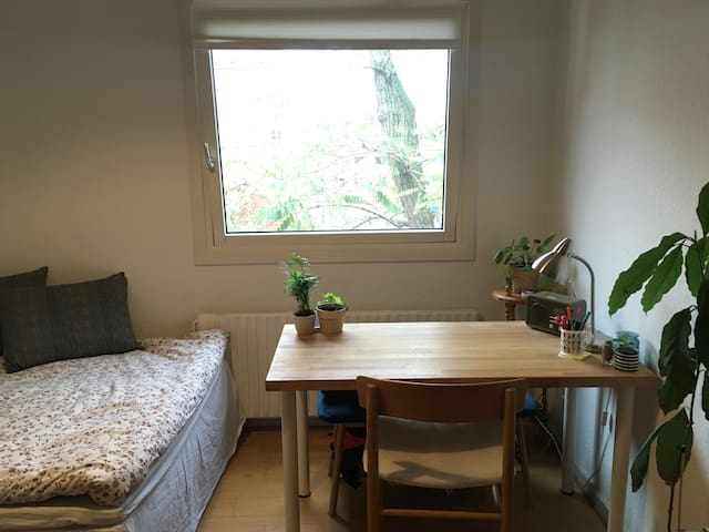 Cozy room in shared apartment, Central Aarhus