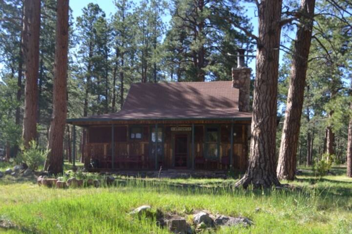 Vacation Rentals Homes Experiences Places Airbnb
