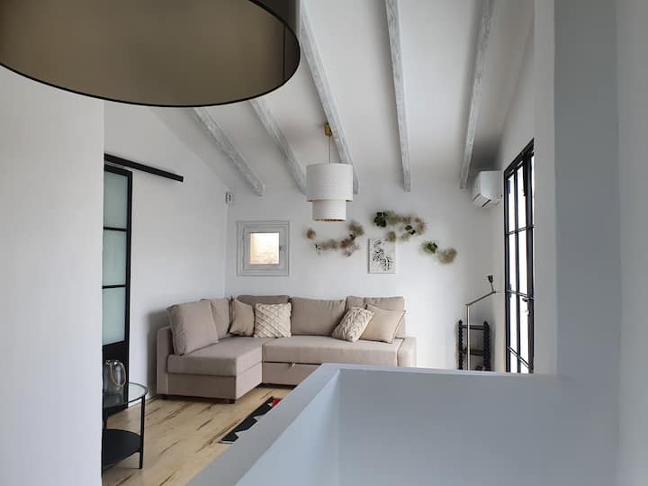 סלון עליון עם ספה נפתחת נפתחת.