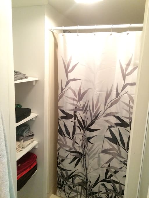 Shower