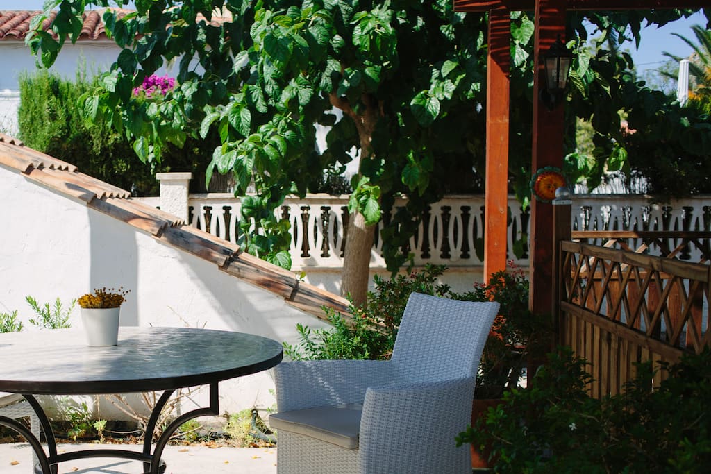 Patio y jardín