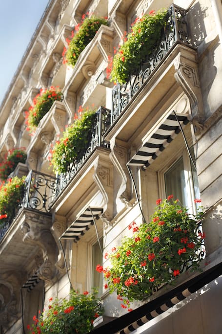 La façade Haussmanienne