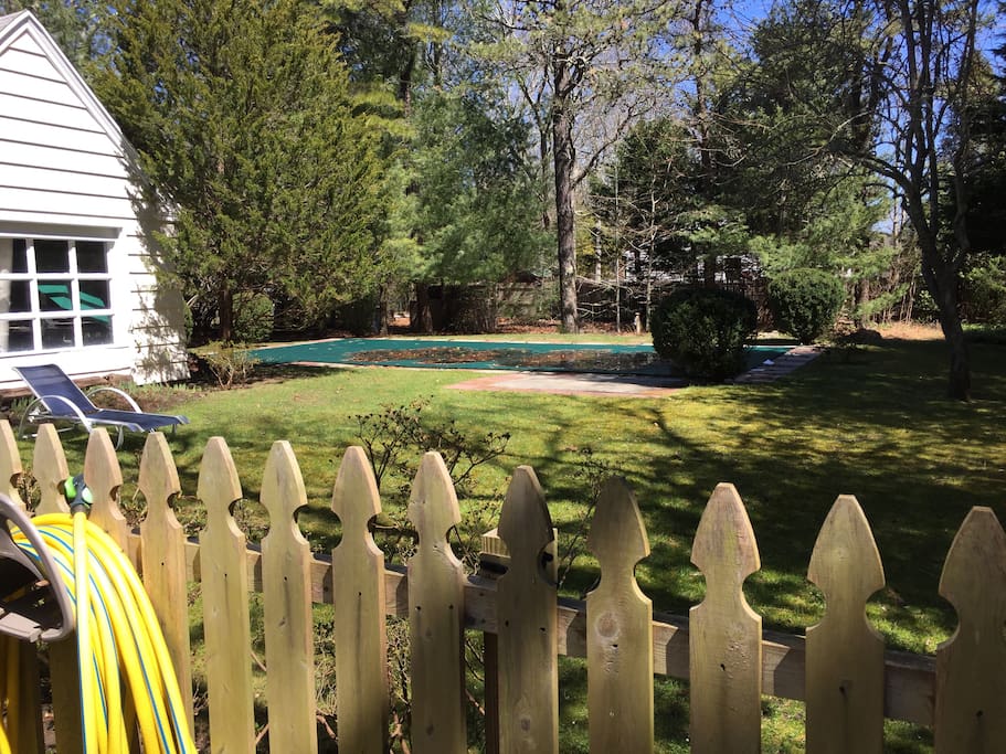 Back yard
