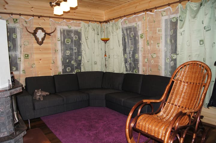 Cottage At The Lake In The Wood - Savitaipale