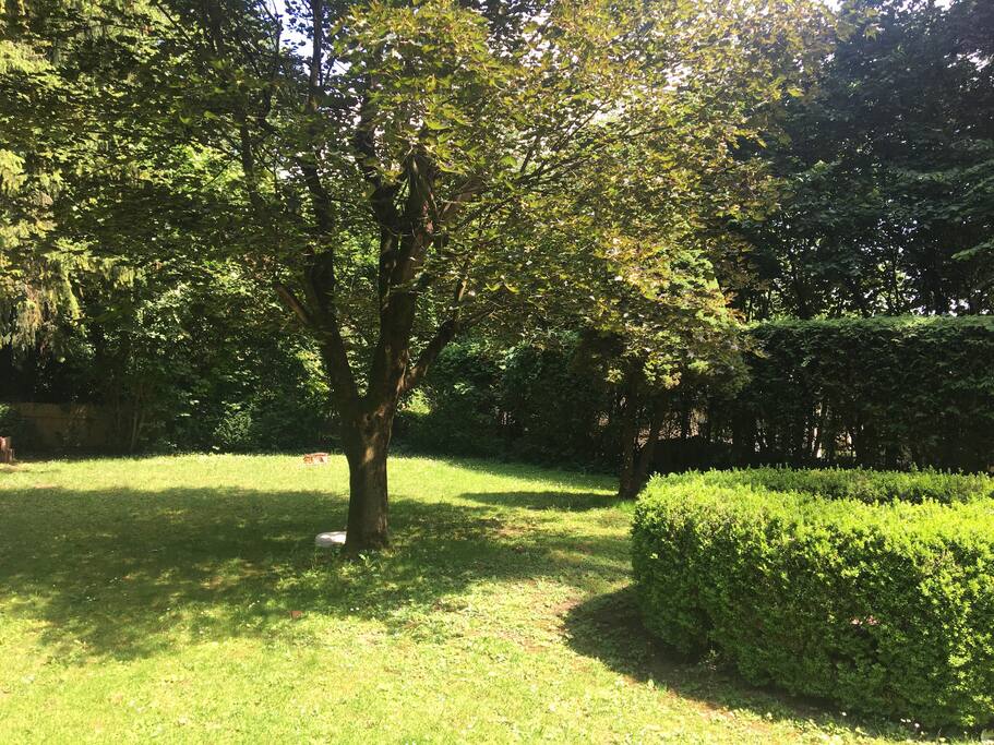 the garden