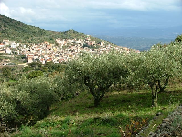 Charming in the hearth of Sardinia