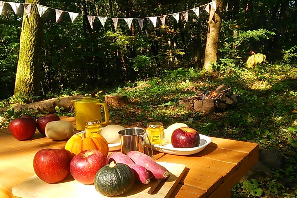 Why don't you cook potatoes or apples in bonfire.