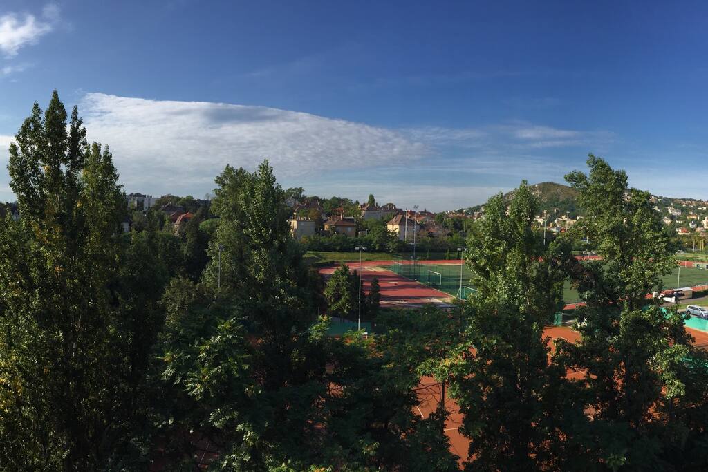 The view.