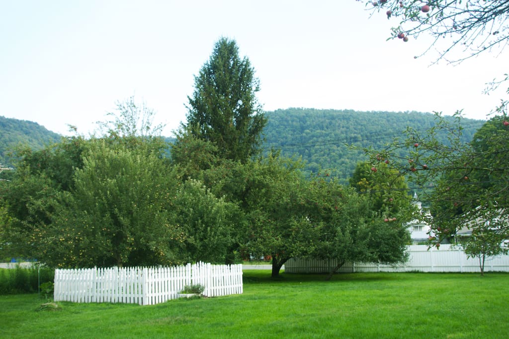 Beautiful home in the Catskills! Houses for Rent in East Branch, New