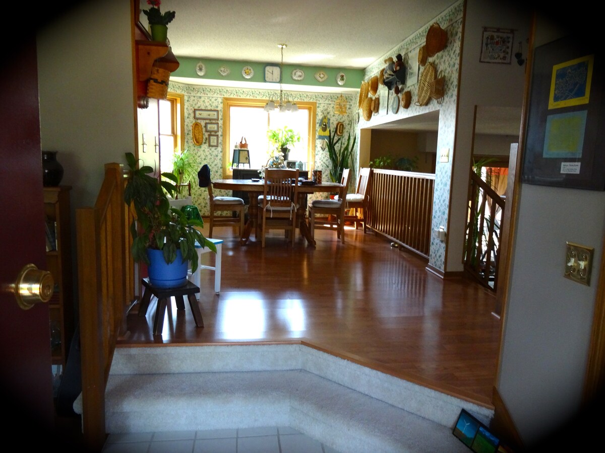 homes for rent northfield mn