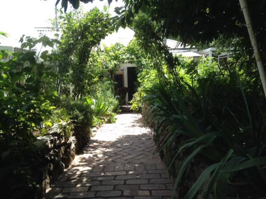 A secret garden setting.