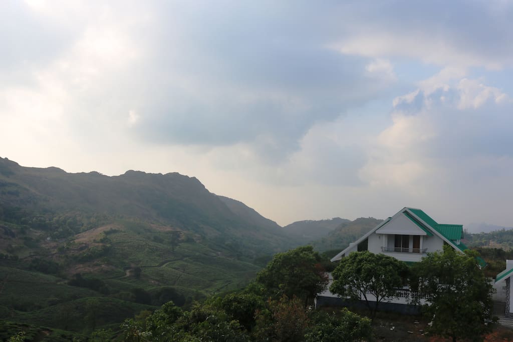 Thangal Hills and tea valley backdrop