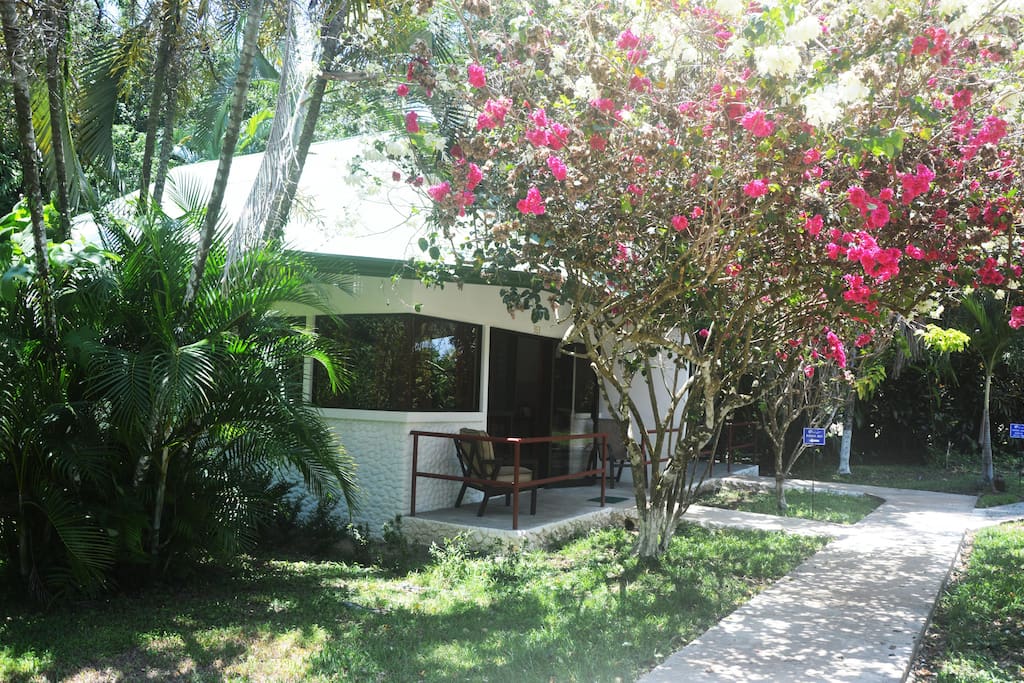 Kichen Suite Patio
