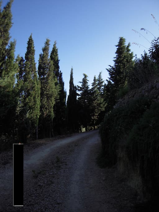 ingresso