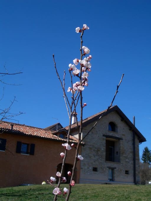 La casa colonica