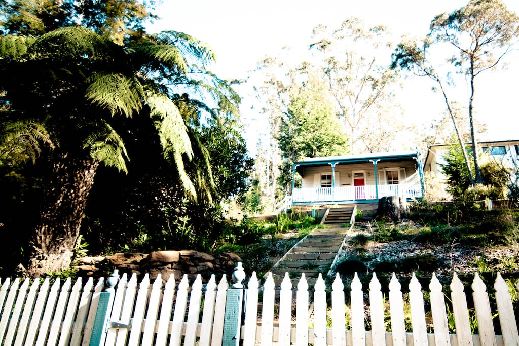 Fully fenced garden