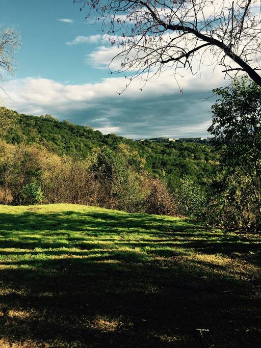 This is the view of the greenbelt from my patio.