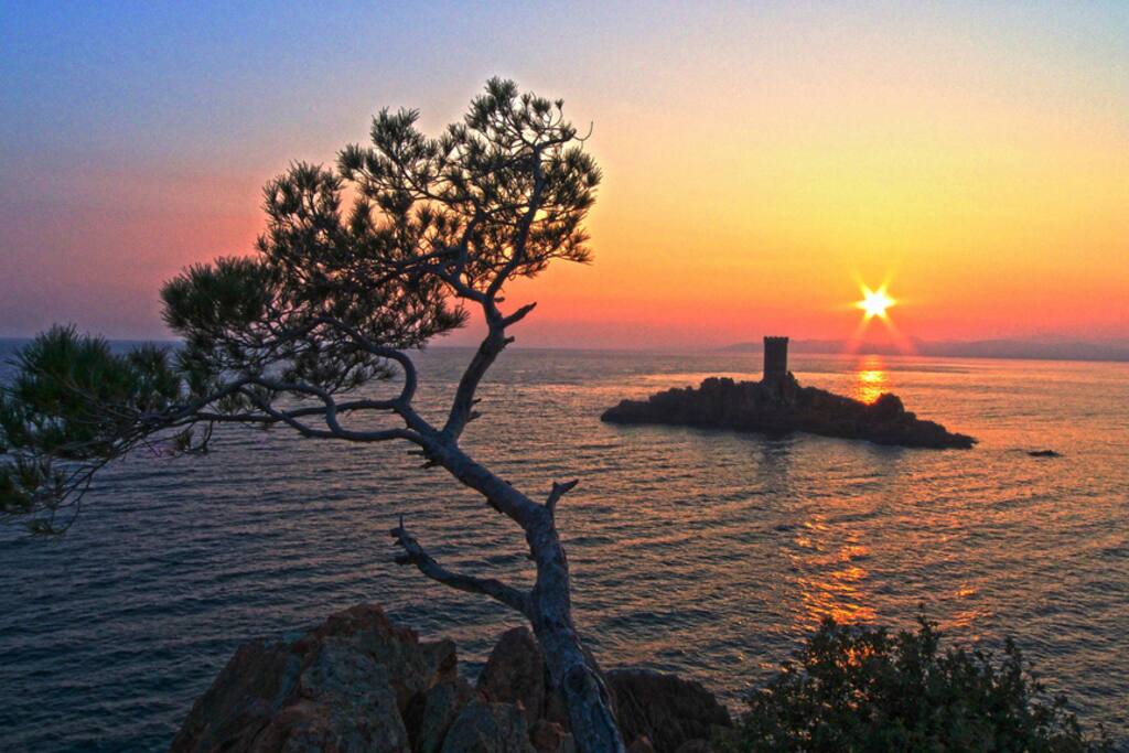 The magical Ile d'Or (Isle of Gold) after which Residence de l'Il d'Or is named. You will occupy a top-floor penthouse!