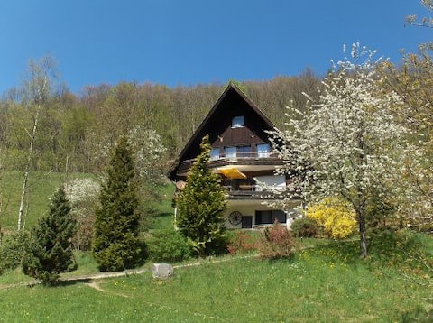 Successful Airbnb property: Frechehof apartment, 136 sq.m. in Bad Peterstal Griesbach