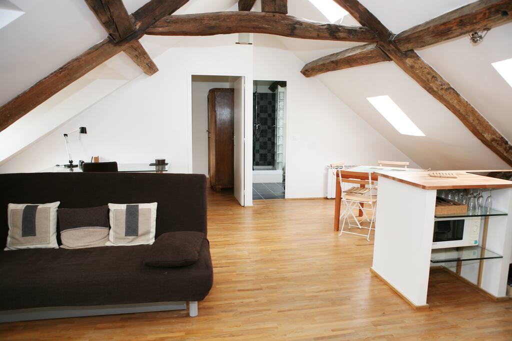 Top floor apartment in Le Marais - Apartments for Rent in